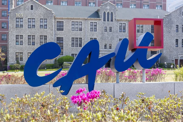 중앙대학교 한국어교육원