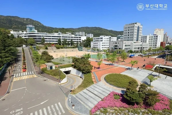 부산대학교