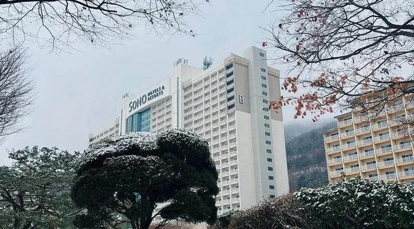 소노벨 비발디파크 B · C