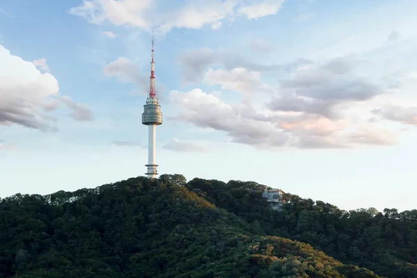 N서울타워 전망대 입장권 ✨