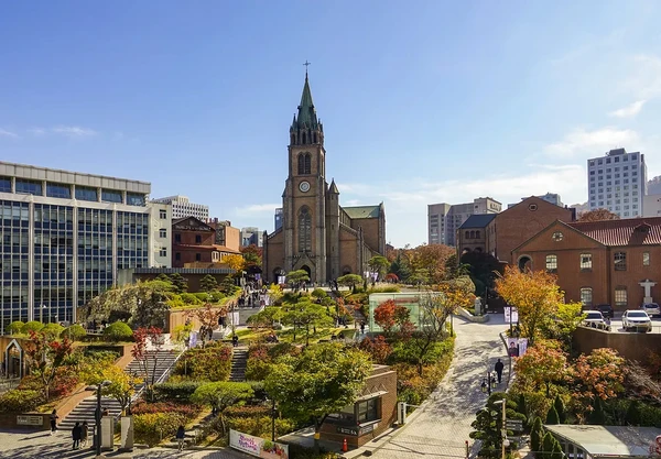 외국인 전용 K-팝 문화 일일 투어 (홍대 거리, K-팝 댄스 클래스, 명동 하이커 그라운드, 난타 공연)