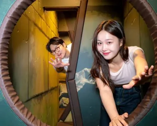 다이나믹 메이즈 입장권