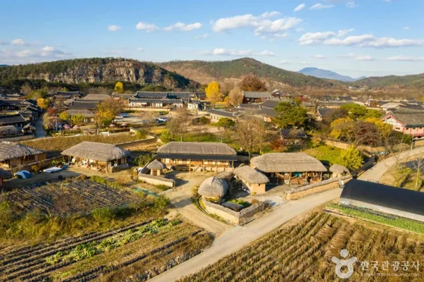 한국의 과거와 현재가 공존하는 타임머신 여행 (한국민속촌, 수원화성 등 일일 투어)