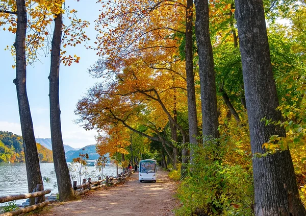 [서울여행] 딸기농장 & 어비계곡 & 남이섬 또는 엘리시안 강촌 썰매장 (1일투어)