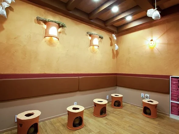 아수카 | 명동스파