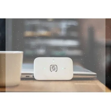 [인기 와이파이] KT 코리아 포켓 와이파이 무제한