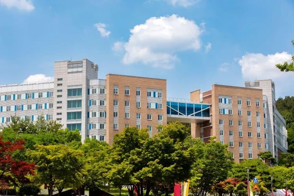 고려대학교 세종캠퍼스