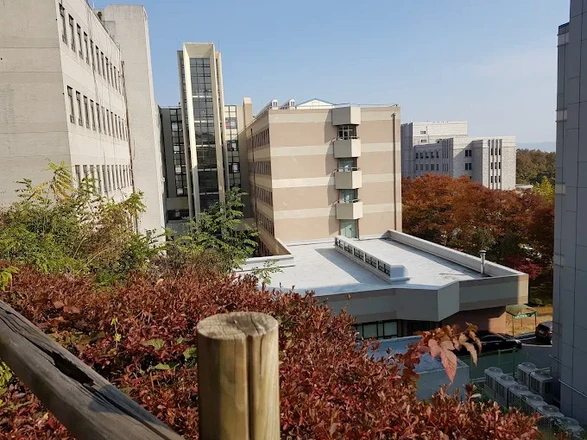 고려대학교 세종캠퍼스