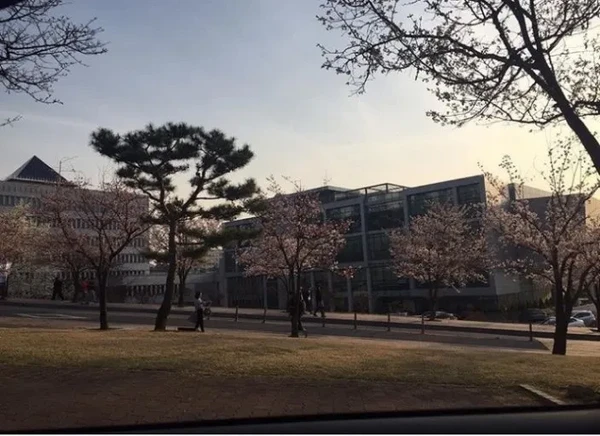 조선대학교