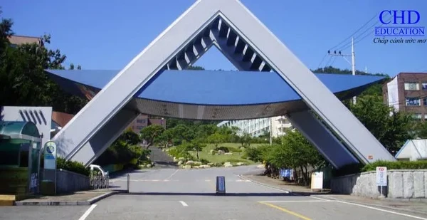 순천제일대학교