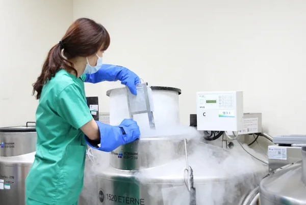 가톨릭대학교서울성모병원/혈액병원