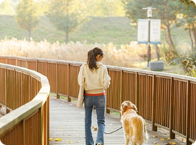 [크리에이트립단독] 2025 창덕궁 달빛기행 | 외국인 전용