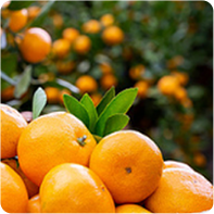 [크리에이트립단독] 2025 창덕궁 달빛기행 | 외국인 전용