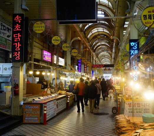 강원도 2일투어(인제·속초·원대리 자작나무숲·설악산) - 서울출발