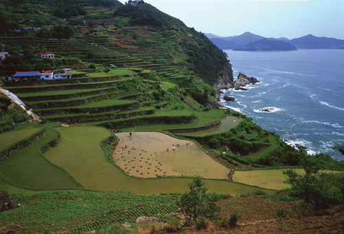 경상남도 2일 투어(한려뱃길) – 서울 출발