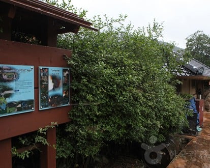 전라남도 3일 관광(정읍·해남·강진·담양) - 서울 출발