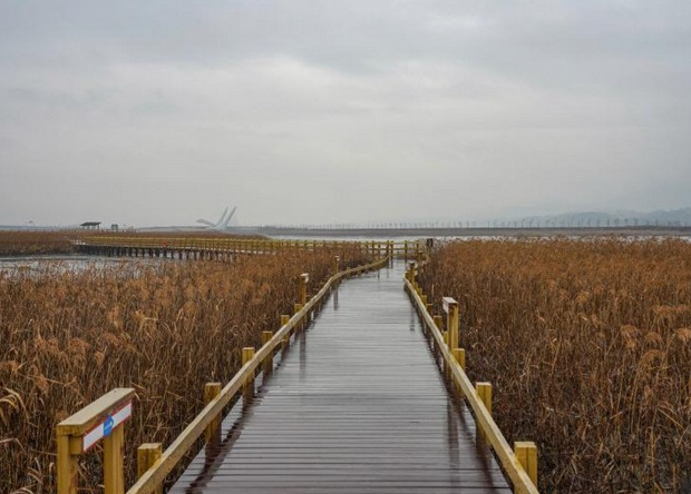 전라남도 3일 관광(정읍·해남·강진·담양) - 서울 출발