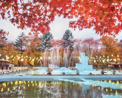 남이섬 + 쁘띠프랑스 + 이탈리아 마을 + 동대문시장 당일치기 (1일 투어)