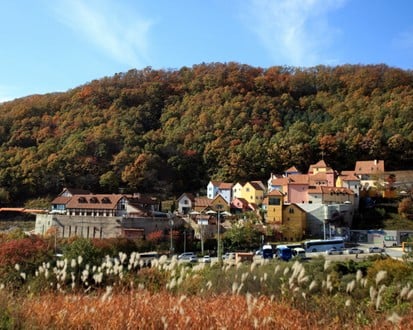 남이섬 + 쁘띠프랑스 + 이탈리아 마을 + 동대문시장 당일치기 (1일 투어)