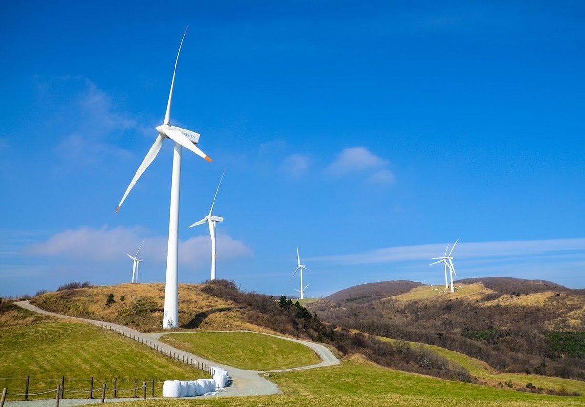 강원도 동부지역 3일투어(강릉·속초·삼척) - 서울출발