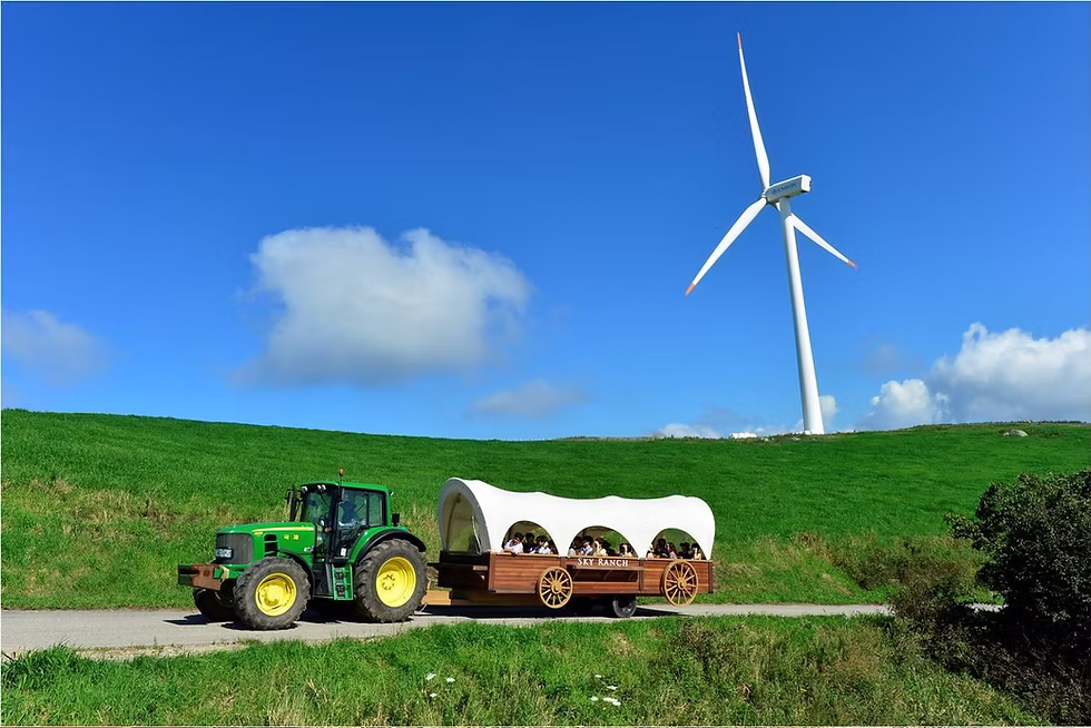 강원도 동부지역 3일투어(강릉·속초·삼척) - 서울출발