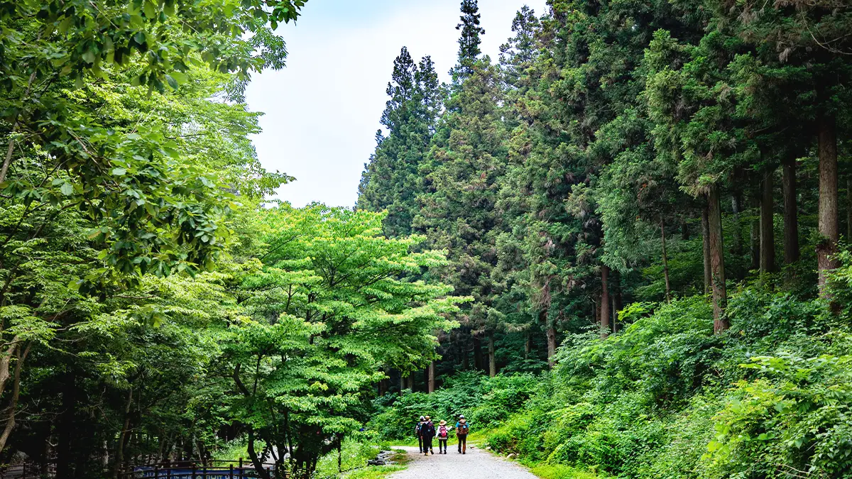 전라남도 3일 관광(정읍·해남·강진·담양) - 서울 출발