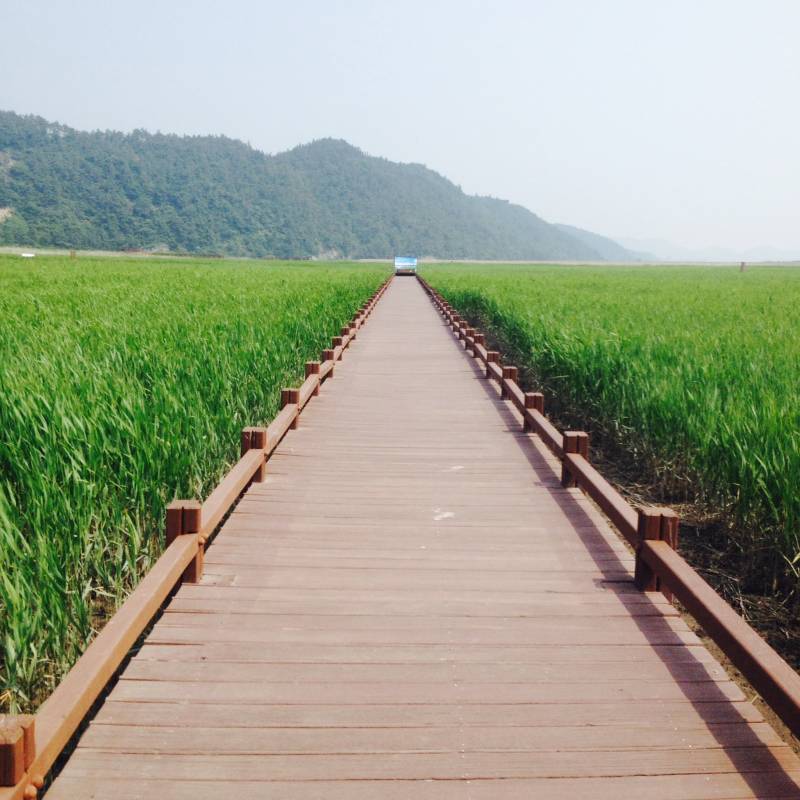 전라남도 3일 관광(정읍·해남·강진·담양) - 서울 출발