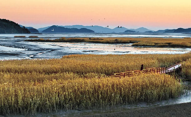 전라남도 3일 관광(정읍·해남·강진·담양) - 서울 출발