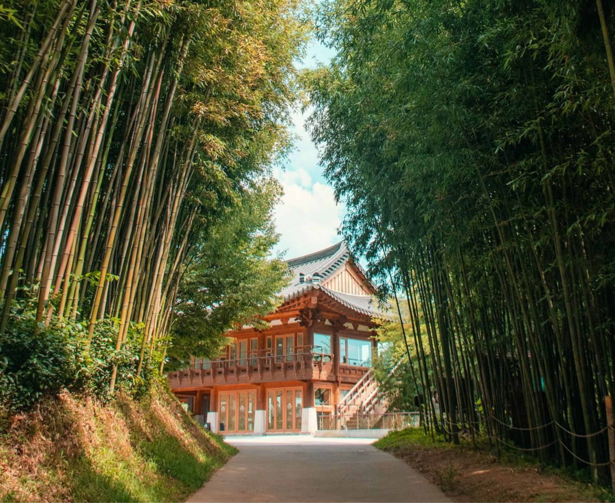 전라남도 3일 관광(정읍·해남·강진·담양) - 서울 출발