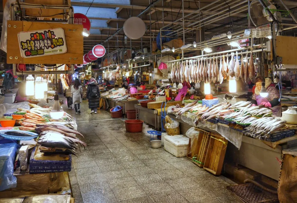 경상도 3일 관광(문경·경주·포항) - 서울 출발