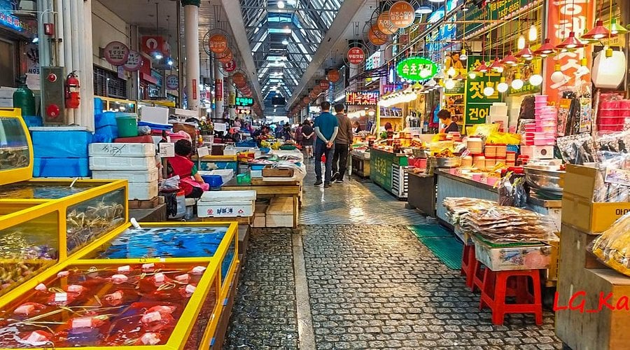 한국 시그니처 4박 5일 투어 – 서울 · 남이섬 · 설악산 · 롯데월드 (노쇼핑 / 노옵션 / 노팁)