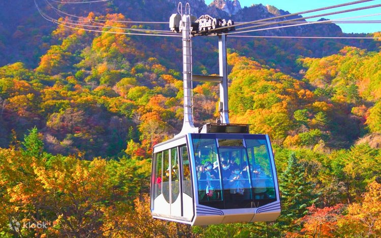 한국 시그니처 4박 5일 투어 – 서울 · 남이섬 · 설악산 · 롯데월드 (노쇼핑 / 노옵션 / 노팁)