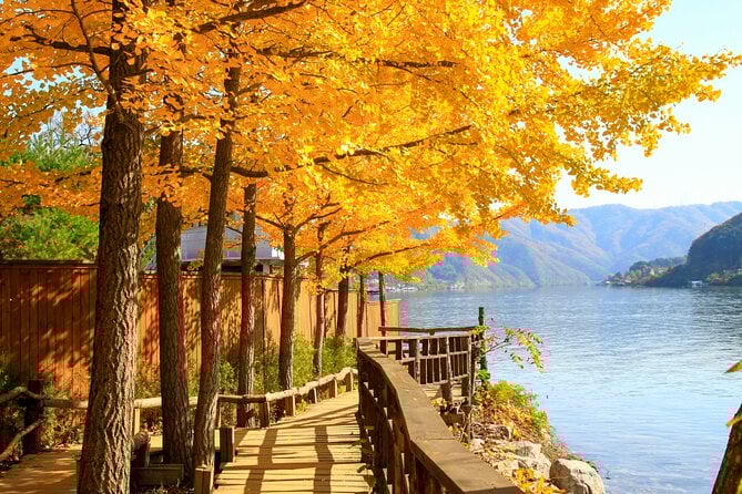 한국 시그니처 4박 5일 투어 – 서울 · 남이섬 · 설악산 · 롯데월드 (노쇼핑 / 노옵션 / 노팁)