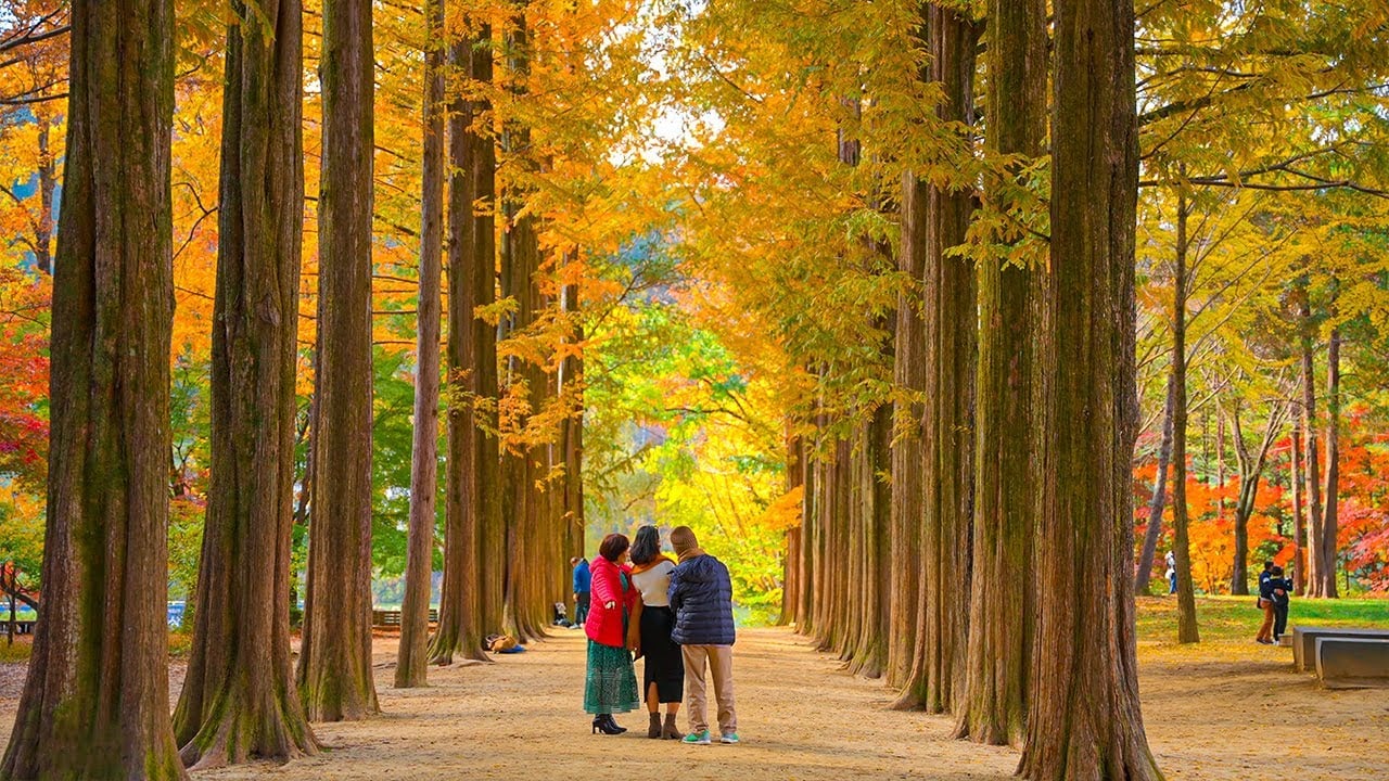 한국 인플루언서 4박 5일 투어 – 서울 민속촌 & 에버랜드 · 강원: 남이섬 & 설악산 (노쇼핑 / 노옵션 / 노팁)
