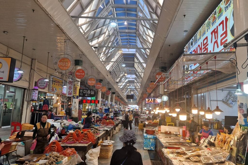 한국 인플루언서 4박 5일 투어 – 서울 민속촌 & 에버랜드 · 강원: 남이섬 & 설악산 (노쇼핑 / 노옵션 / 노팁)