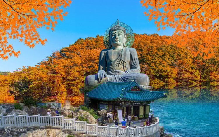 한국 인플루언서 4박 5일 투어 – 서울 민속촌 & 에버랜드 · 강원: 남이섬 & 설악산 (노쇼핑 / 노옵션 / 노팁)