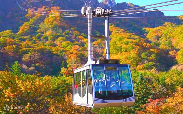 한국 인플루언서 4박 5일 투어 – 서울 민속촌 & 에버랜드 · 강원: 남이섬 & 설악산 (노쇼핑 / 노옵션 / 노팁)