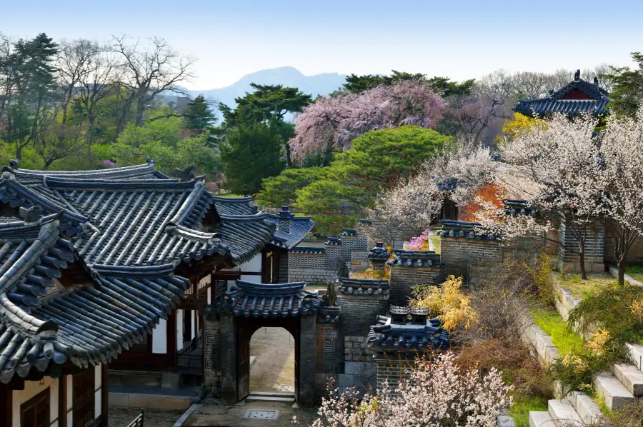 한국 인플루언서 4박 5일 투어 – 서울 민속촌 & 에버랜드 · 강원: 남이섬 & 설악산 (노쇼핑 / 노옵션 / 노팁)