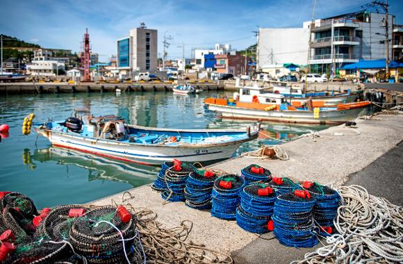 부산 세븐브릿지 일일 투어ㅣ부산 출발