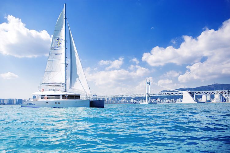 부산 세븐브릿지 일일 투어ㅣ부산 출발