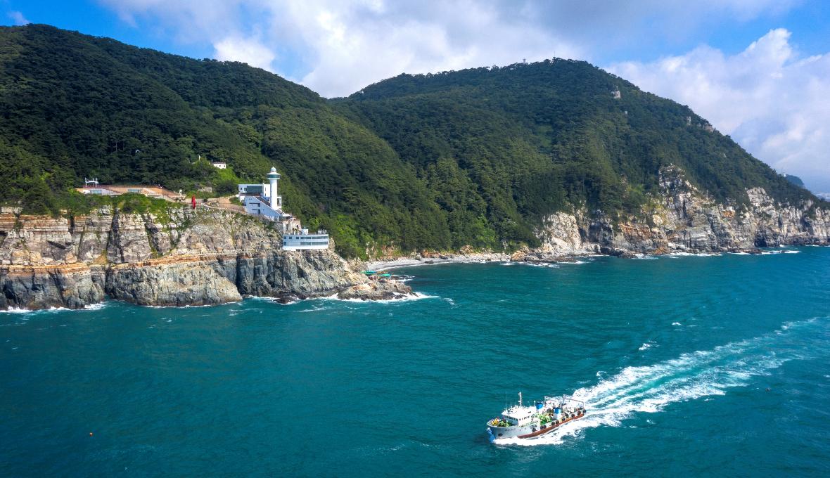 서부산 핫스팟 일일 투어 | 태종대 + 흰여울문화마을 + 감천문화마을 + 송도스카이워크 | 부산출발