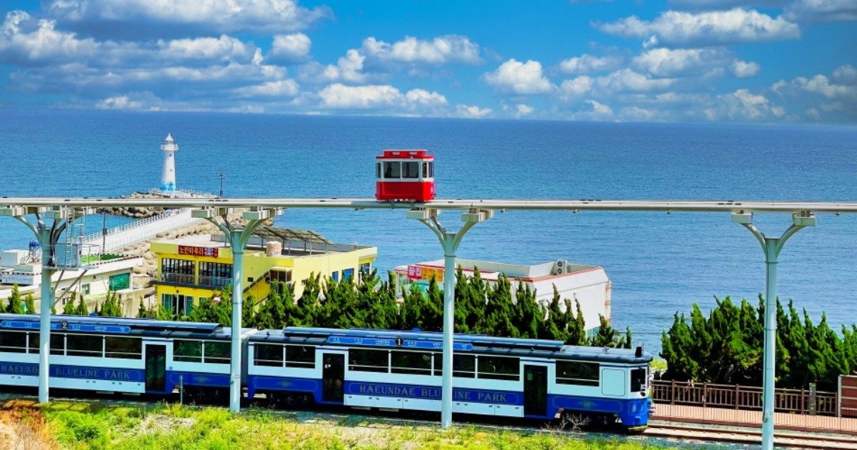 부산해변열차 + 해동용궁사 + 송정해수욕장 + 송도스카이워크 + 감천문화마을 일일투어 | 부산출발