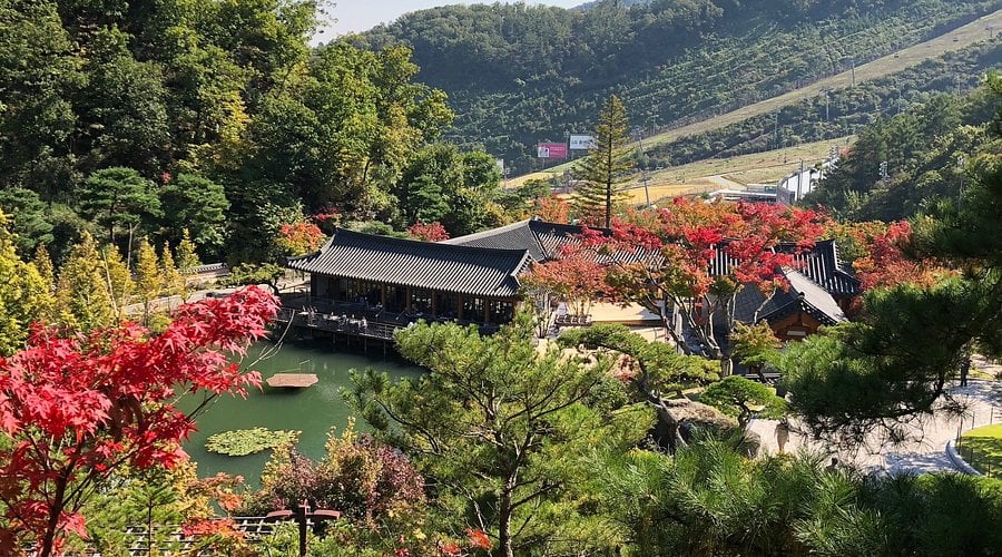 화담식물원 + 동식물원 + 스타필드 하남몰 일일투어 | 서울 출발