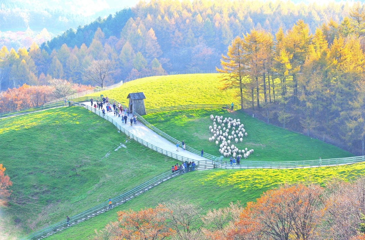 평창&정선 2일투어(메도우코스·스카이로드·감각여행) – 서울출발