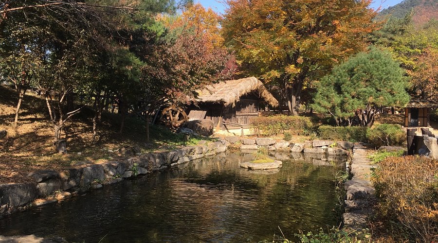 평창&정선 2일투어(메도우코스·스카이로드·감각여행) – 서울출발