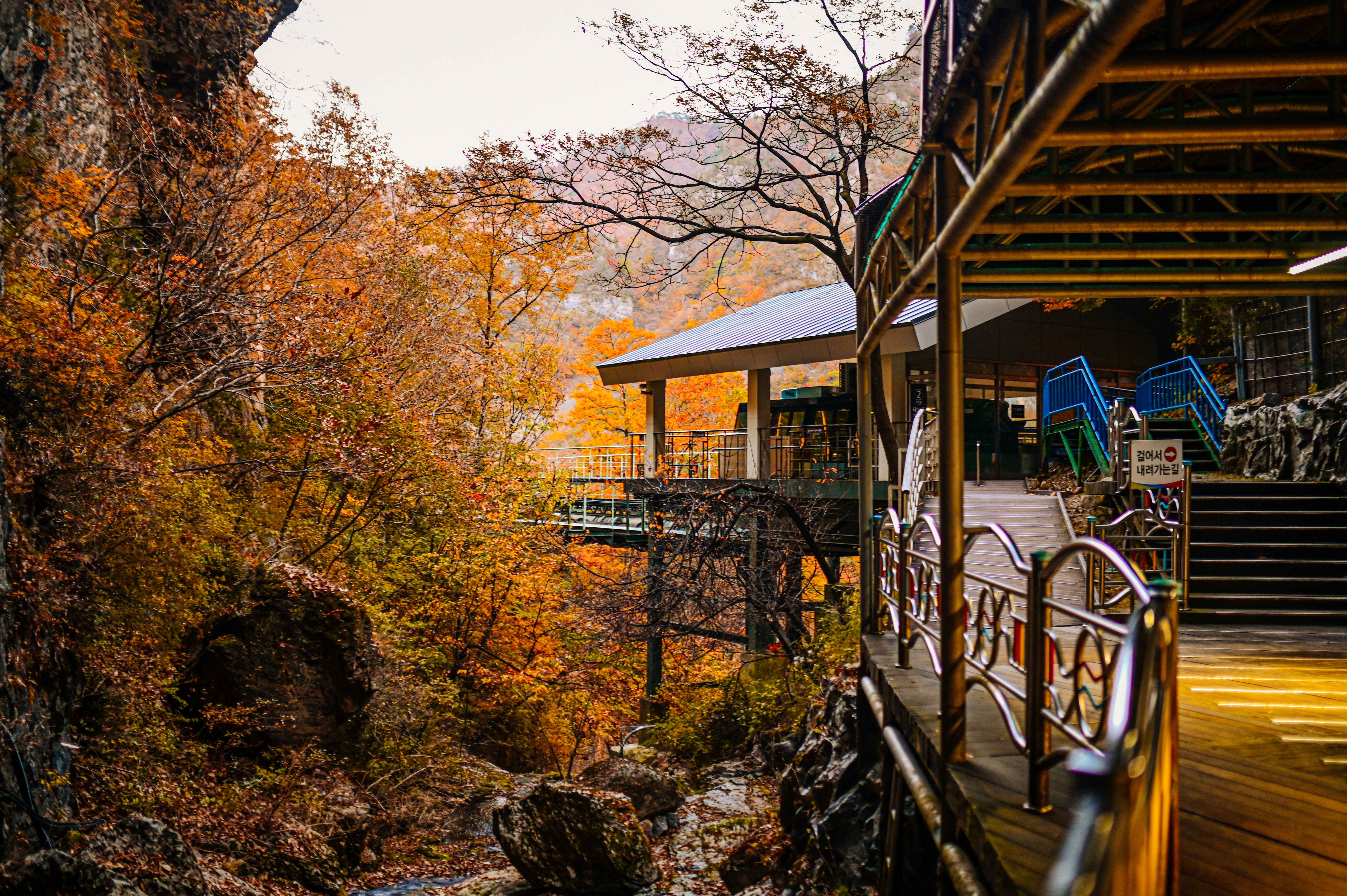 한국 동해안 3일 투어 (양양·삼척·부산) - 서울 출발