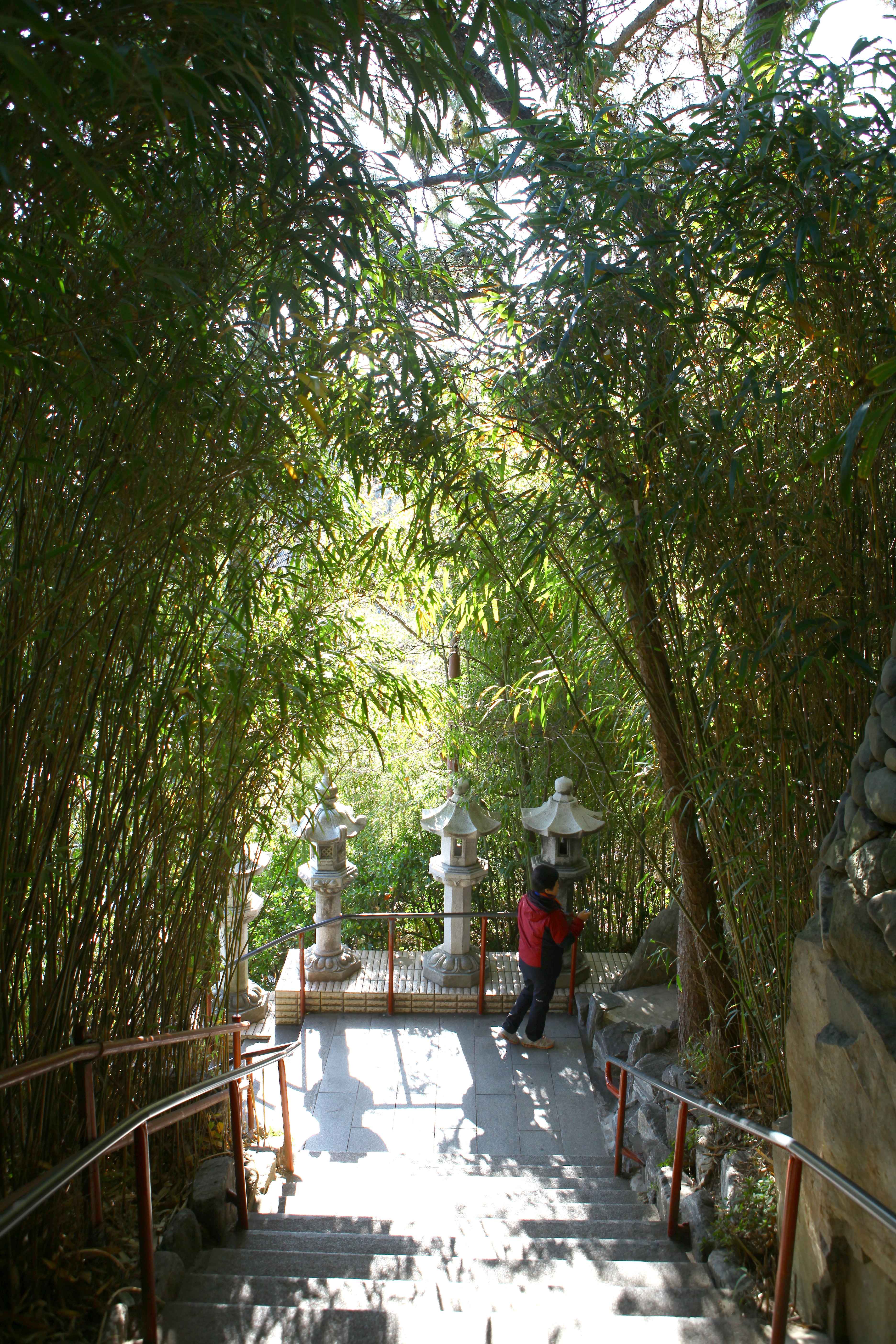 한국 동해안 3일 투어 (양양·삼척·부산) - 서울 출발