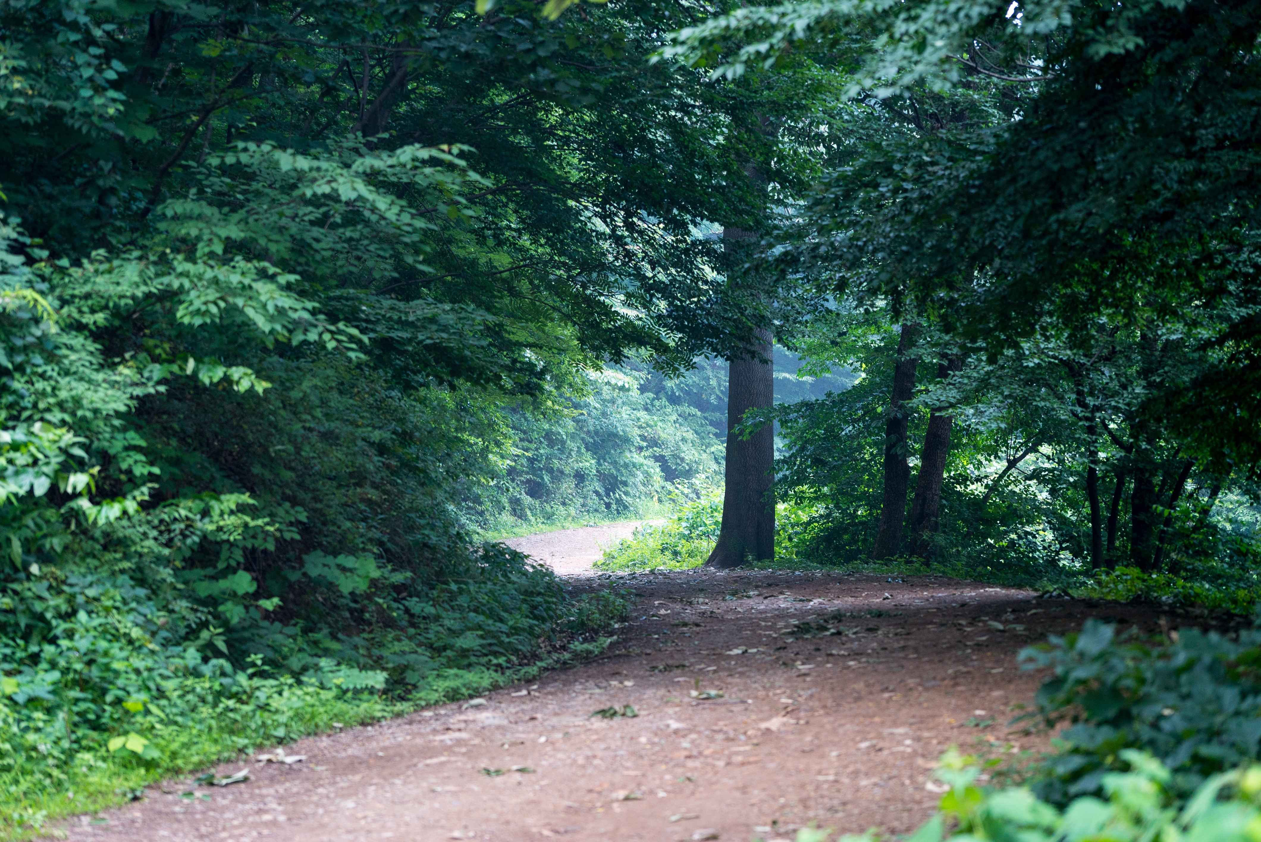 전라남도 3일 관광(정읍·해남·강진·담양) - 서울 출발