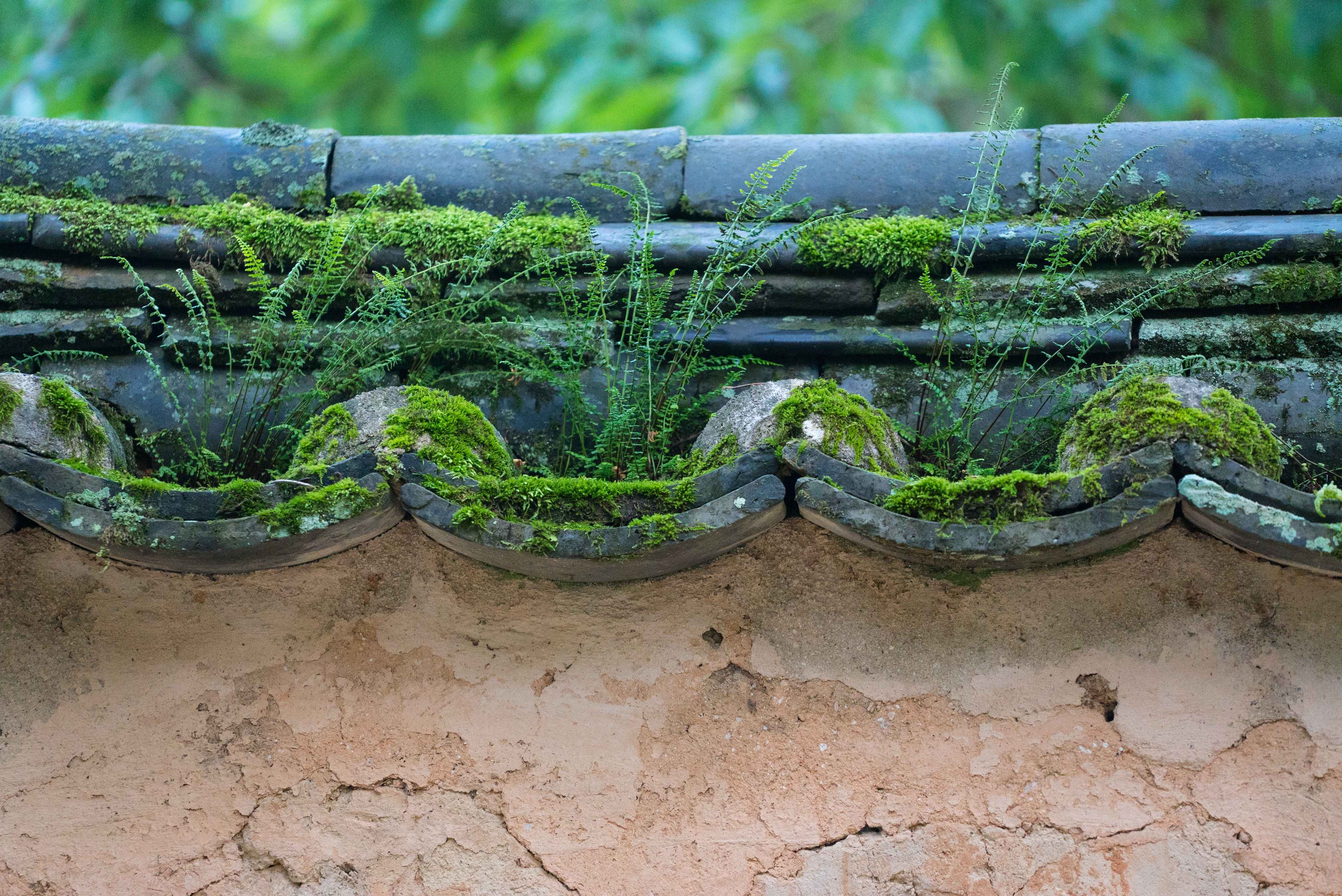 전라남도 3일 관광(정읍·해남·강진·담양) - 서울 출발