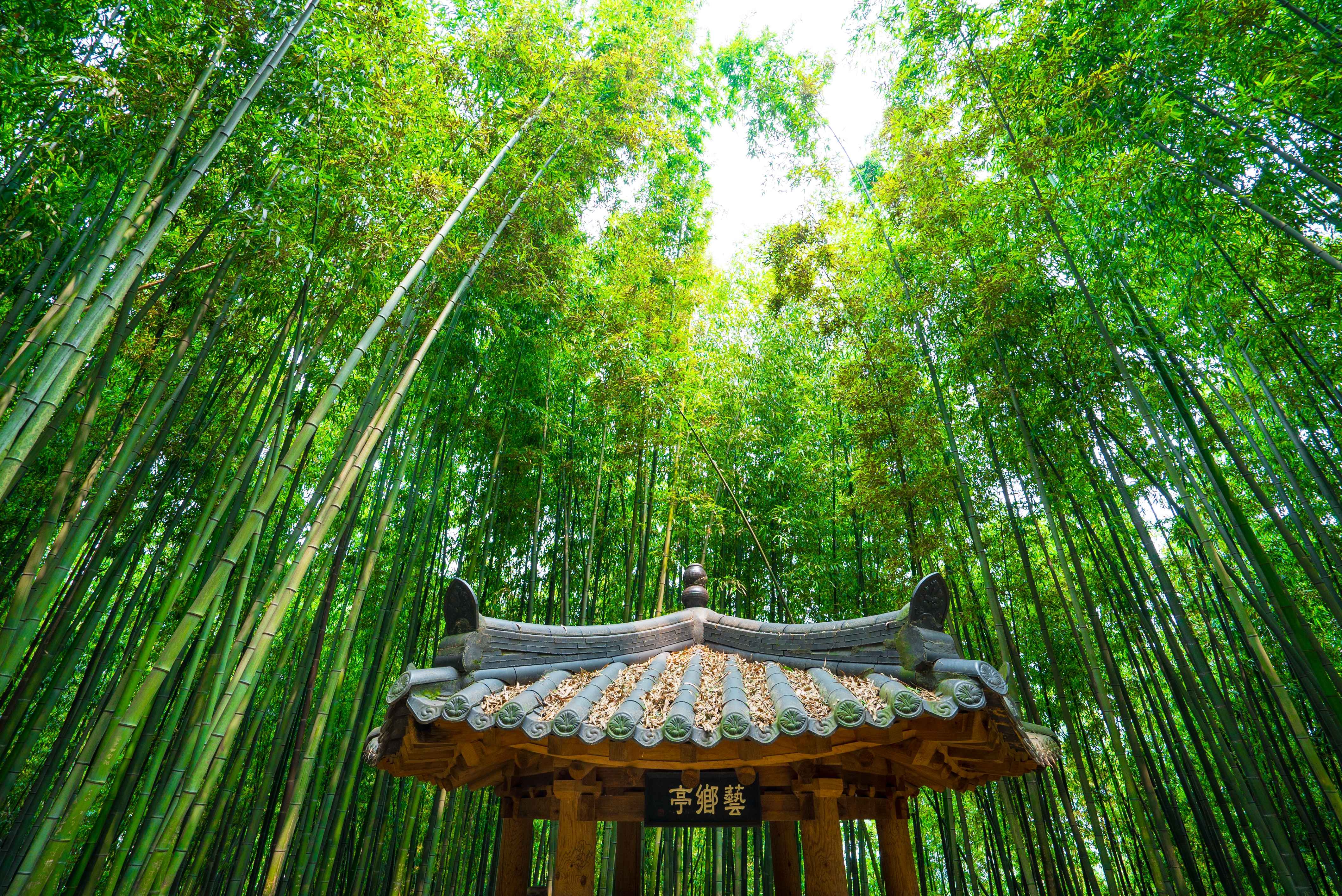 전라남도 3일 관광(정읍·해남·강진·담양) - 서울 출발